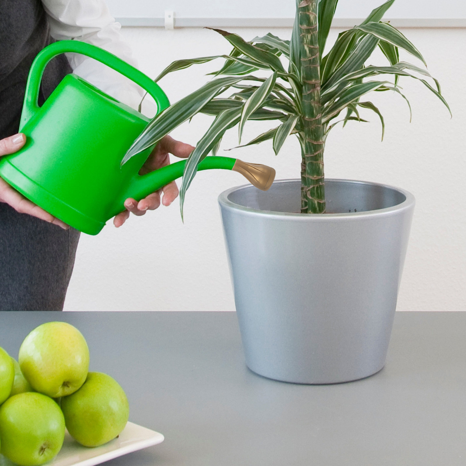 Bonsai Garden Pot - Garden Watering Nozzle Portable Water Can