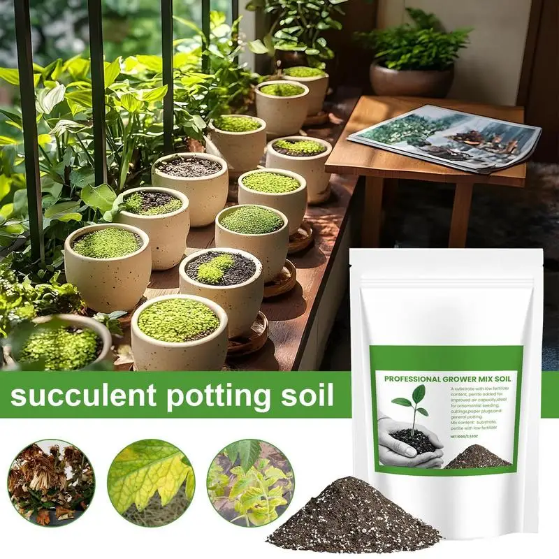 Succulent Soil Potting Mix Aer - Bonsai Garden Pot ulasan dan harga