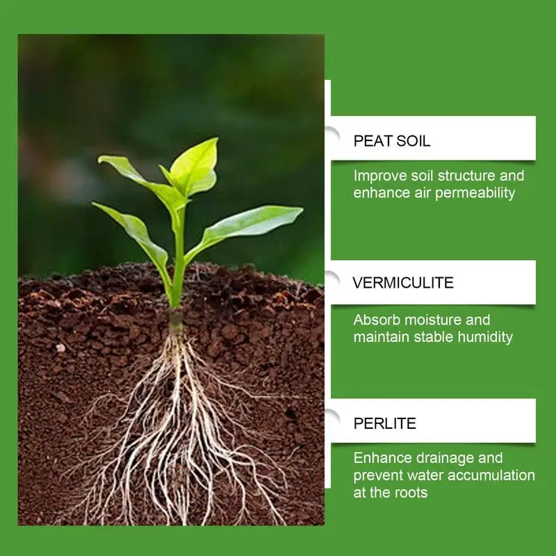 Succulent Soil Potting Mix Aer - Bonsai Garden Pot ulasan dan harga