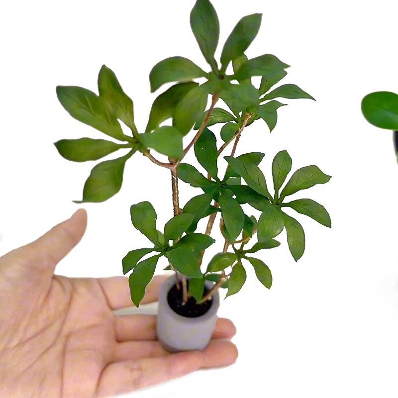 1:6 Dollhouse Miniature Potted - Bonsai Garden Pot ulasan dan harga