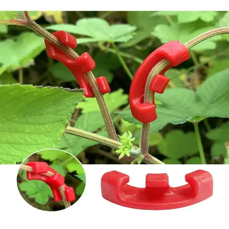10-100Pcs 90 Degree Plant Bend - Concave Branch Cutter ulasan dan harga