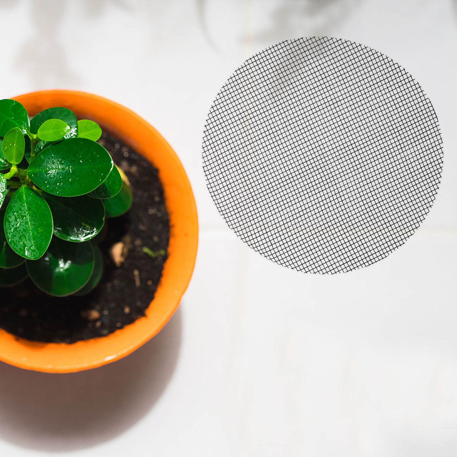 50Pcs Flower Pot Hole Mesh Pad - Bonsai Garden Pot ulasan dan harga