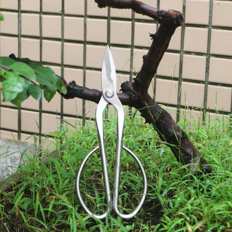 All-steel garden shears, folia - Concave Branch Cutter ulasan dan harga