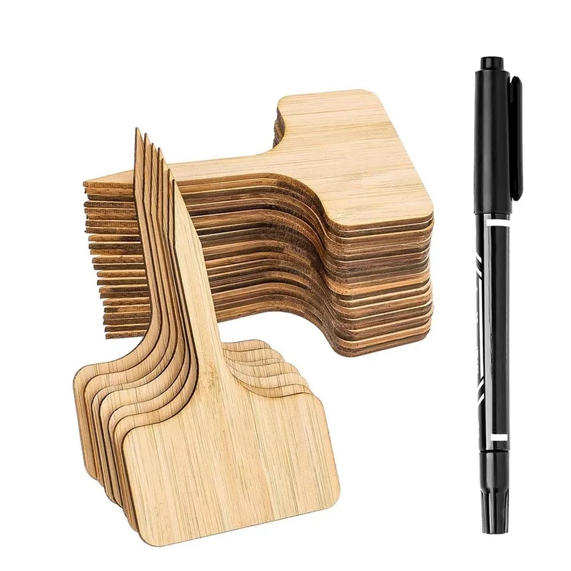 10-60PCS T-Type Bamboo Plant L - Bonsai Garden Pot ulasan dan harga