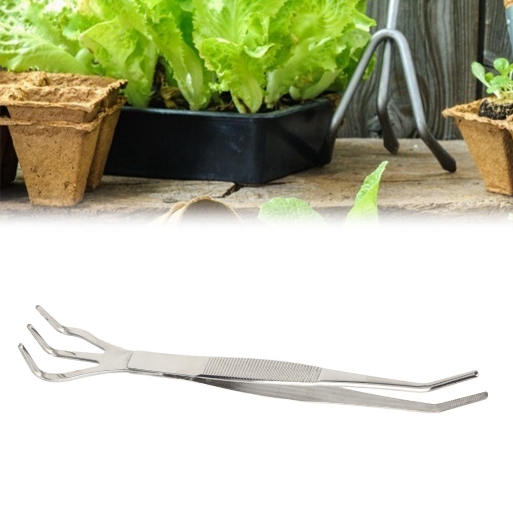 Durable 2 in 1 Bonsai Rake Sta - Bonsai Garden Pot ulasan dan harga