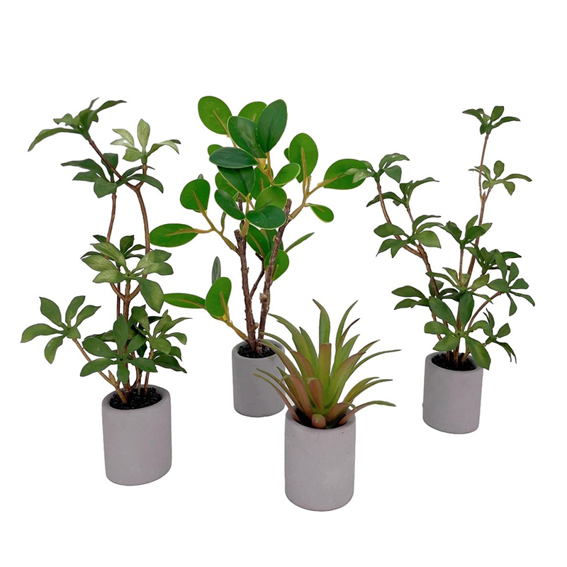 1:6 Dollhouse Miniature Potted - Bonsai Garden Pot ulasan dan harga