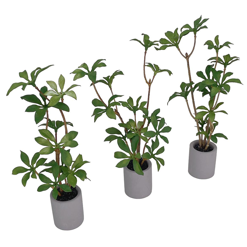 1:6 Dollhouse Miniature Potted - Bonsai Garden Pot ulasan dan harga