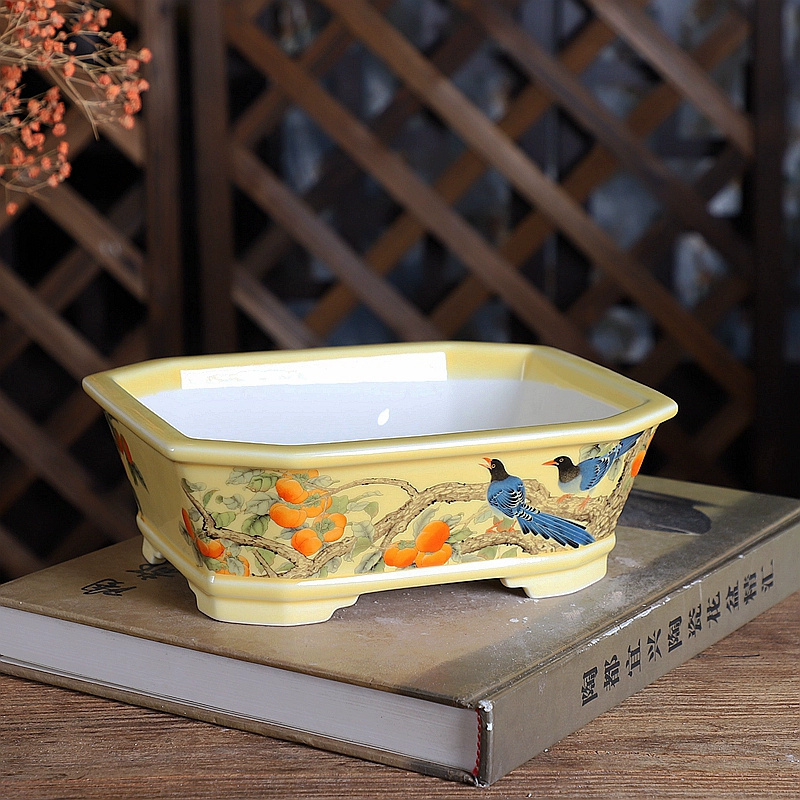 Porcelain Rectangle Bonsai Pot - Bonsai Garden Chinese Garden ulasan dan harga