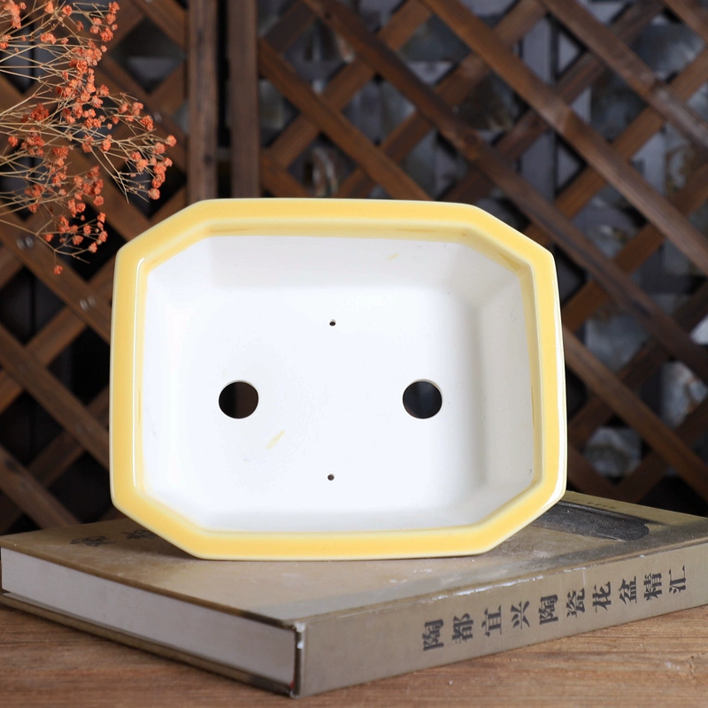 Porcelain Rectangle Bonsai Pot - Bonsai Garden Chinese Garden ulasan dan harga