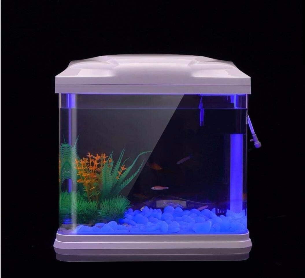 Fish Tank Rocks Glow Blue Pebb - Bonsai Garden Pot ulasan dan harga