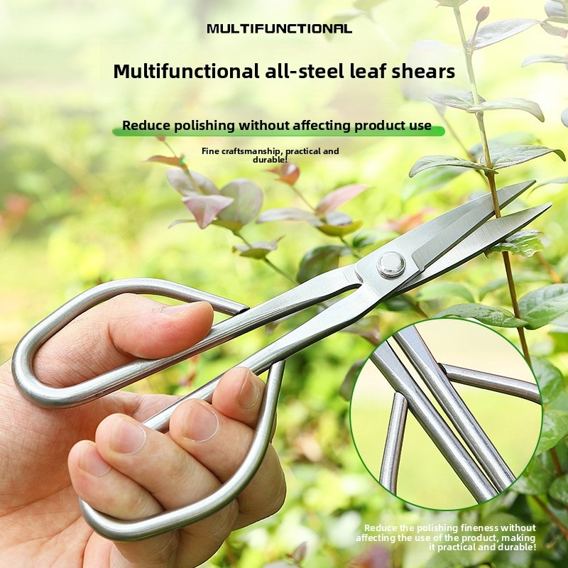 Tender Leaf Scissors Bonsai To - Concave Branch Cutter ulasan dan harga