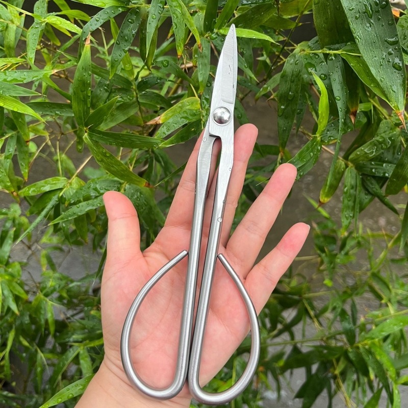Tender Leaf Scissors Bonsai To - Concave Branch Cutter ulasan dan harga