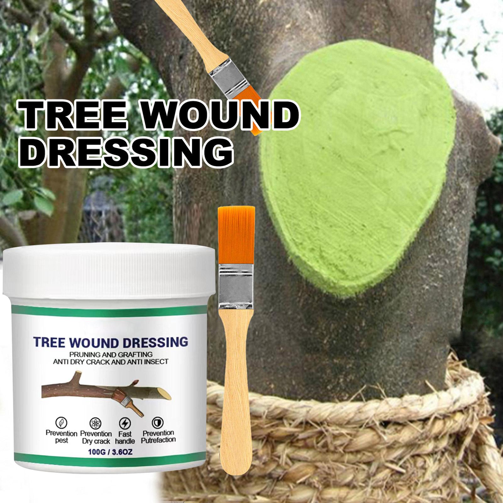 100g Tree Wound Pruning Sealer - Bonsai Gardening ulasan dan harga