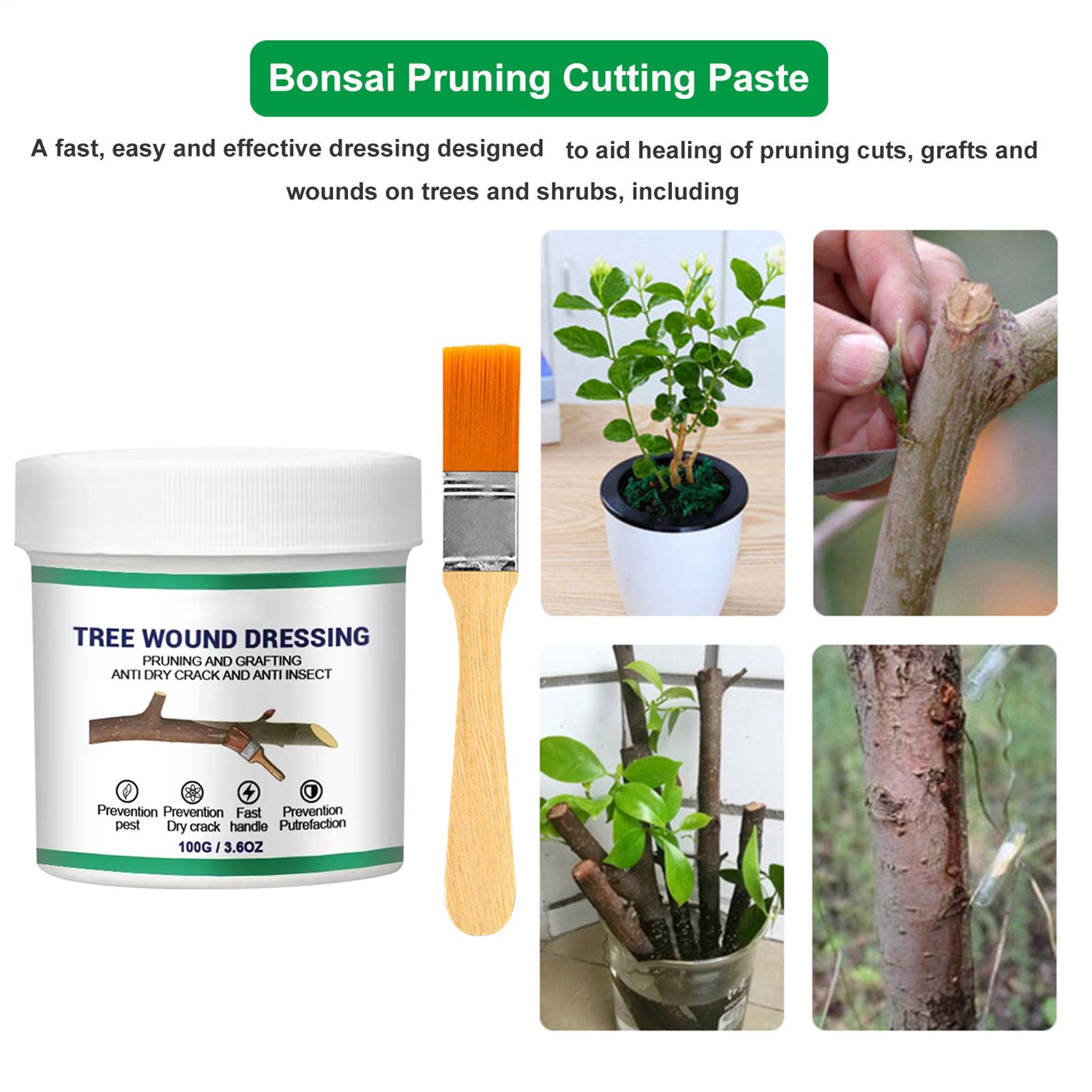 100g Tree Wound Pruning Sealer - Bonsai Gardening ulasan dan harga