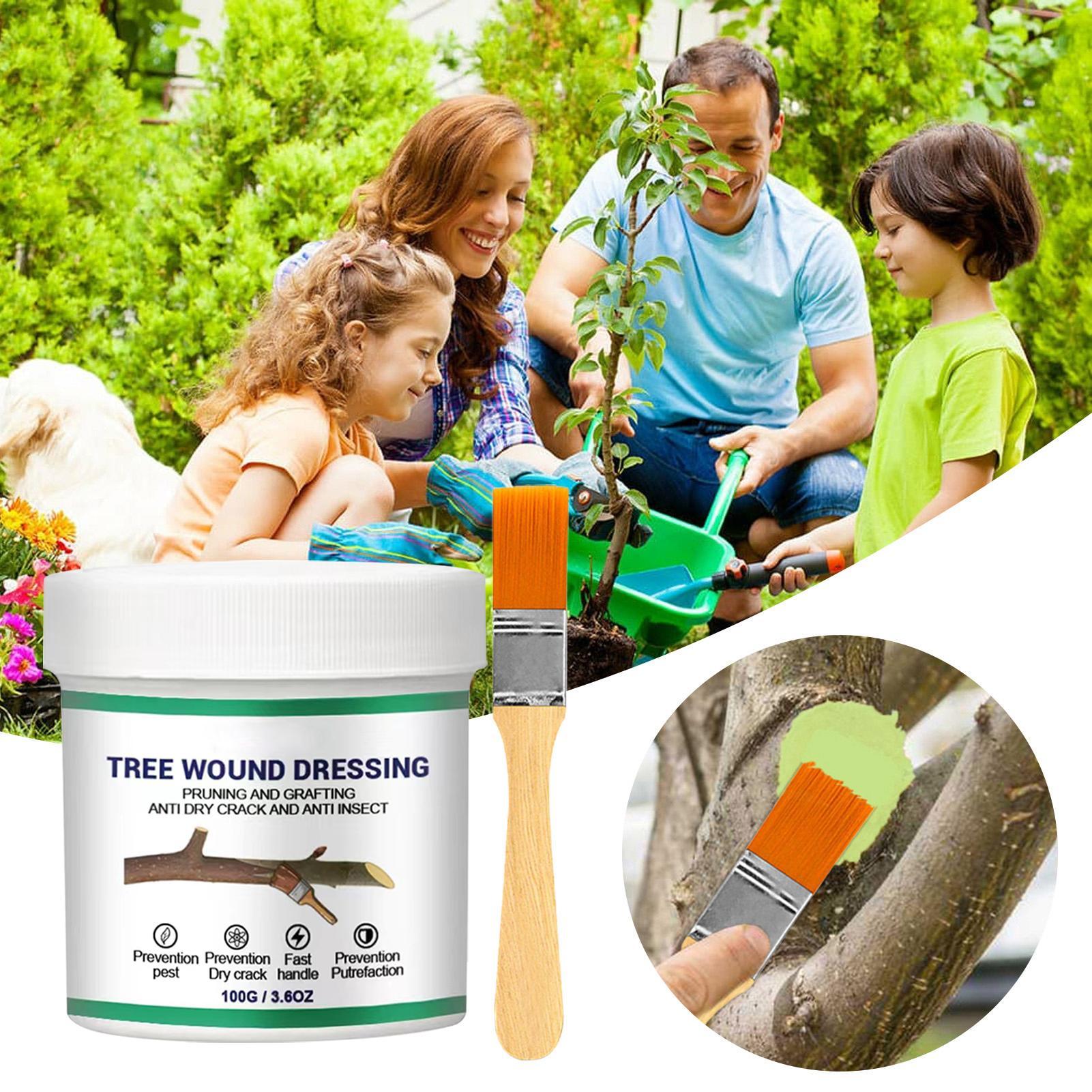 100g Tree Wound Pruning Sealer - Bonsai Gardening ulasan dan harga