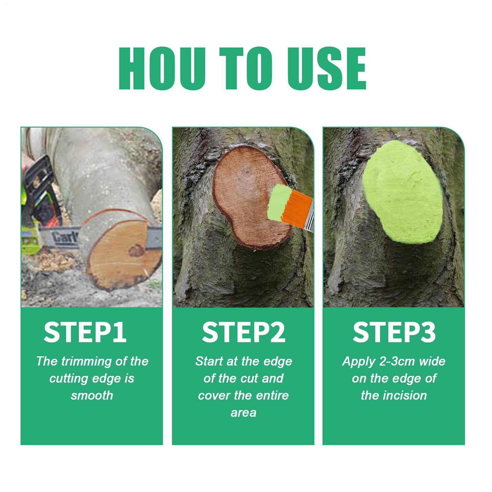 100g Tree Wound Pruning Sealer - Bonsai Gardening ulasan dan harga
