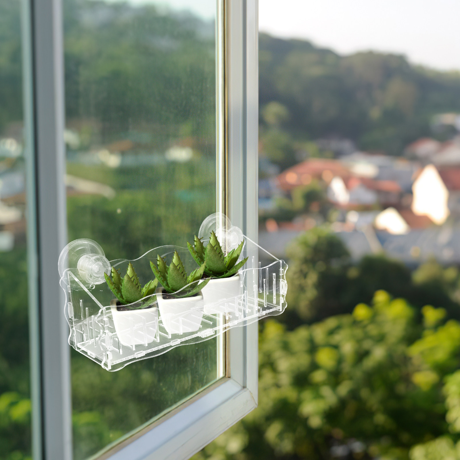 Suction Cup Plant Shelf Acryli - Bonsai Garden Pot ulasan dan harga