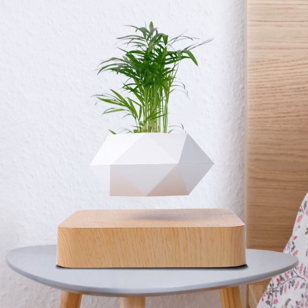 Levitating Air Bonsai Pot, Rot - Bonsai Garden Chinese Garden ulasan dan harga