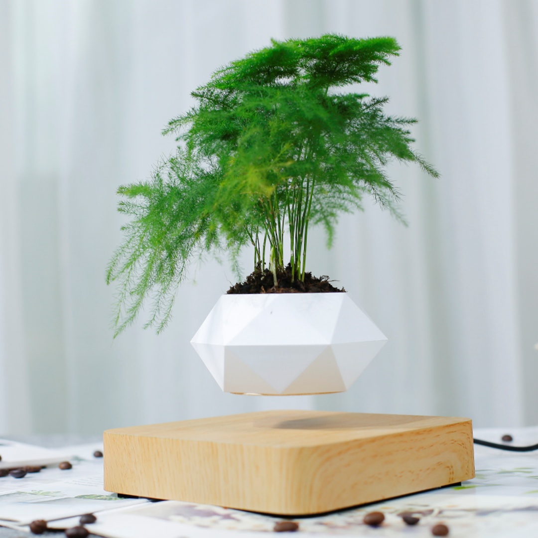 Levitating Air Bonsai Pot, Rot - Bonsai Garden Chinese Garden ulasan dan harga