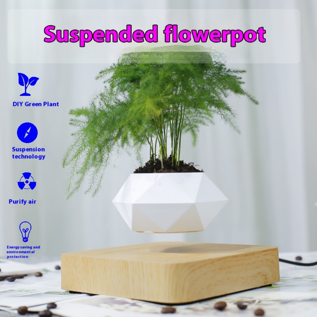Levitating Air Bonsai Pot, Rot - Bonsai Garden Chinese Garden ulasan dan harga