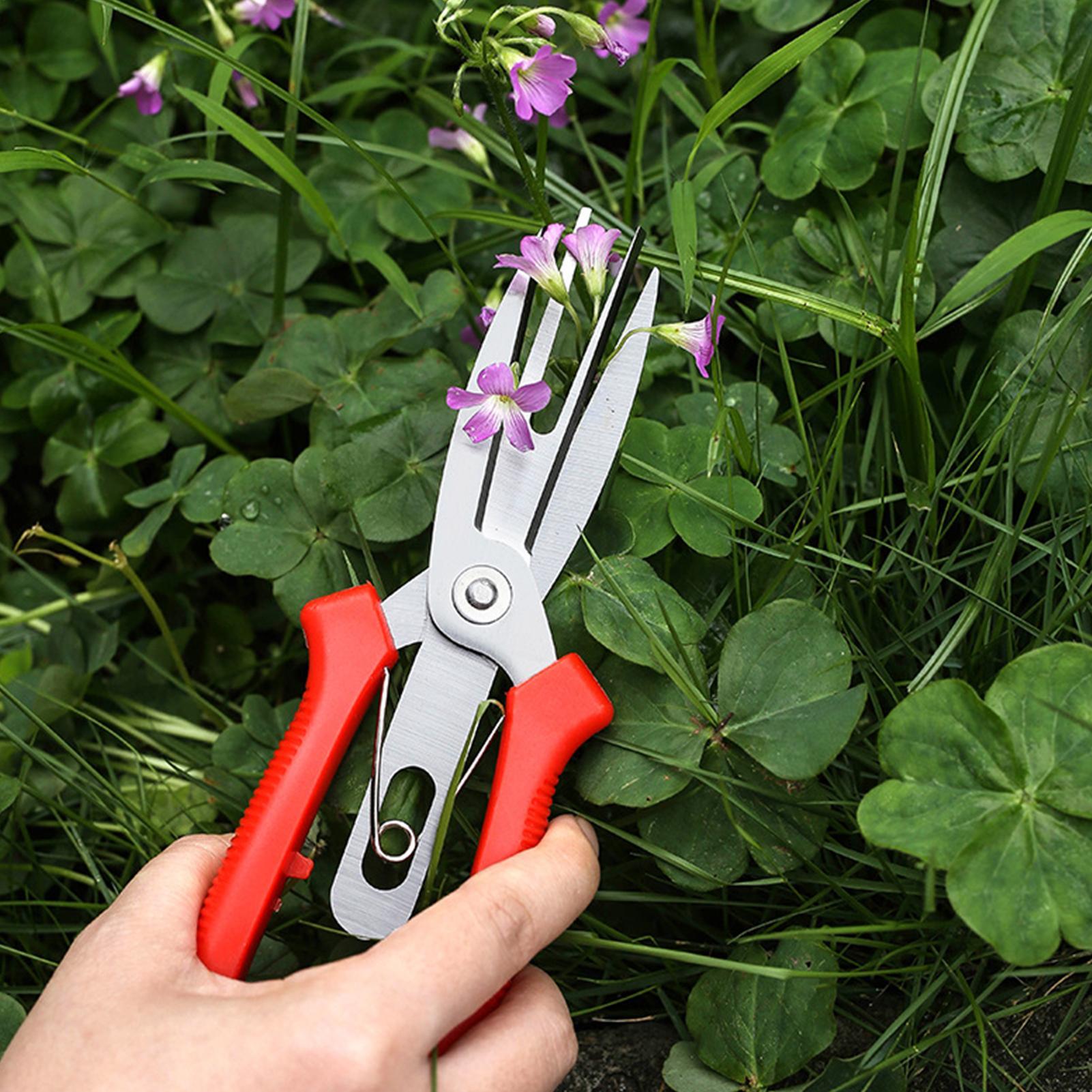 Garden Shears Stainless Steel  - Bonsai Gardening ulasan dan harga