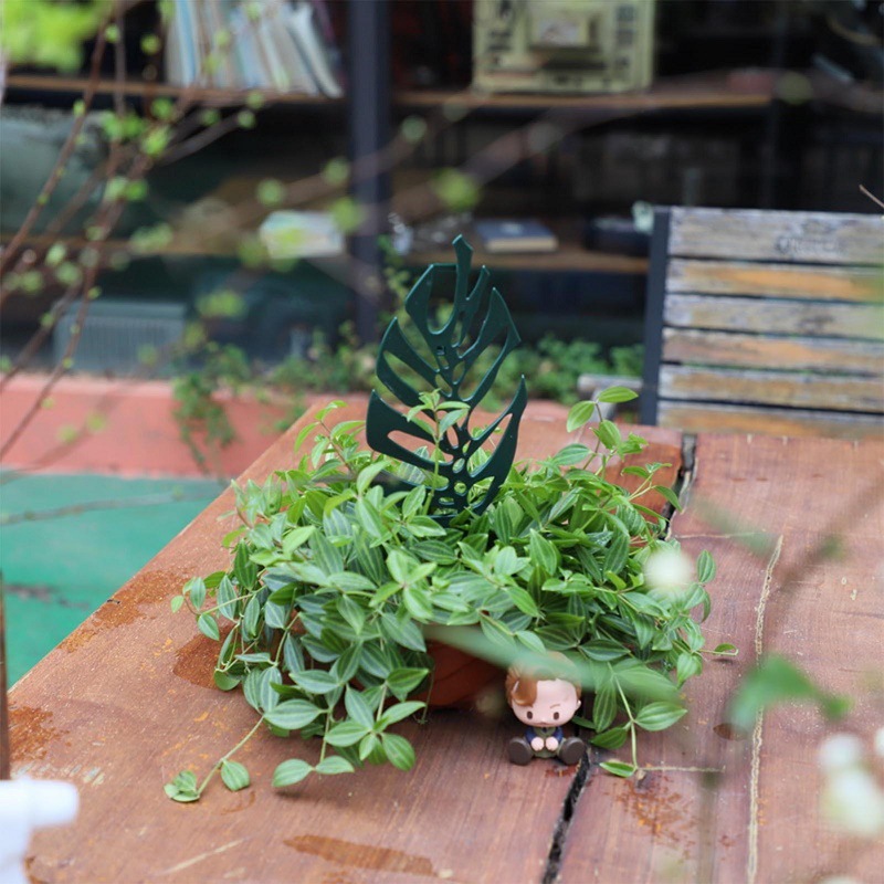 Plant Climbing Support Stand F - Bonsai Garden Pot ulasan dan harga