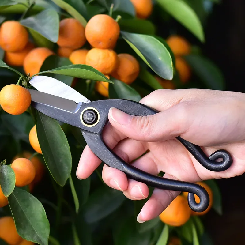 High Carbon Steel Garden Pruni - Concave Branch Cutter ulasan dan harga