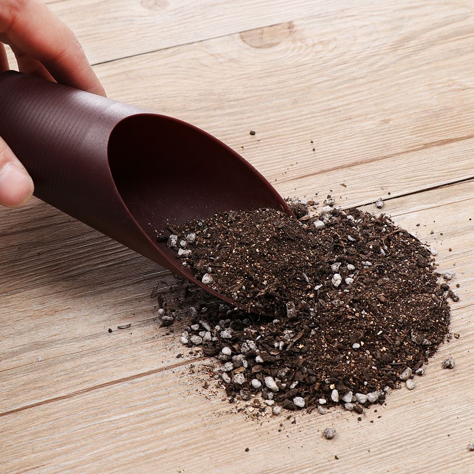 1PC Plastic Soil Shovel Cup Fo - Bonsai Garden Pot ulasan dan harga